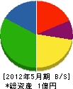 斎藤電機 貸借対照表 2012年5月期
