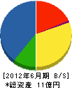 相川管理 貸借対照表 2012年6月期