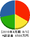 中西電気商会 貸借対照表 2010年4月期