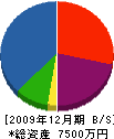 皆神建材 貸借対照表 2009年12月期