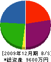 ワタナベ建興 貸借対照表 2009年12月期