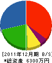 いとう技研 貸借対照表 2011年12月期