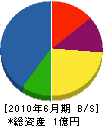 カシマ 貸借対照表 2010年6月期