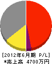 武田水道工業 損益計算書 2012年6月期