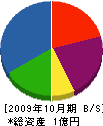 シンカンパニー 貸借対照表 2009年10月期