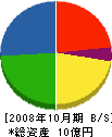 アサノ産業 貸借対照表 2008年10月期