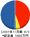 竹花工業 貸借対照表 2007年11月期