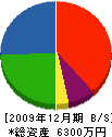 中村電気工事 貸借対照表 2009年12月期