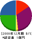 日光土木 貸借対照表 2008年12月期