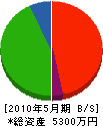 山孝建設 貸借対照表 2010年5月期