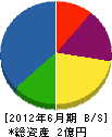 坂平組 貸借対照表 2012年6月期