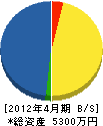 山中電気 貸借対照表 2012年4月期