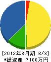 平井喜楽園 貸借対照表 2012年8月期