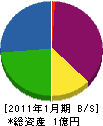安藤興発 貸借対照表 2011年1月期