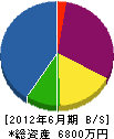 誠進電業社 貸借対照表 2012年6月期