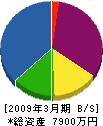 シンワ 貸借対照表 2009年3月期