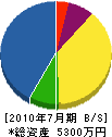 田中電力サービス 貸借対照表 2010年7月期