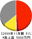 昭電社 損益計算書 2009年11月期