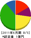 松島 貸借対照表 2011年6月期