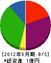 宮嶋建設工業 貸借対照表 2012年6月期