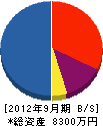 イシヅカ技研 貸借対照表 2012年9月期