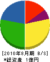 中島電器 貸借対照表 2010年8月期