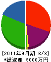 渡辺兄弟工業 貸借対照表 2011年9月期