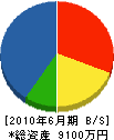 大塚建設 貸借対照表 2010年6月期