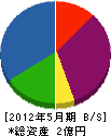 野沢工業 貸借対照表 2012年5月期