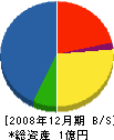 大栄建設 貸借対照表 2008年12月期
