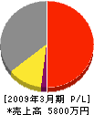 丸正吉田店 損益計算書 2009年3月期