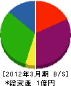 竹内組 貸借対照表 2012年3月期