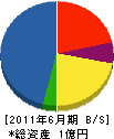 直井造園土木 貸借対照表 2011年6月期