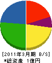 三紘 貸借対照表 2011年3月期