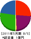 坪田工業 貸借対照表 2011年5月期
