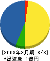 山崎建設 貸借対照表 2008年9月期