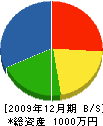 石橋建設 貸借対照表 2009年12月期