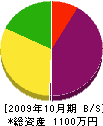 山本開発 貸借対照表 2009年10月期