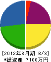 会沢建設 貸借対照表 2012年6月期