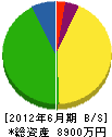 木村工業 貸借対照表 2012年6月期