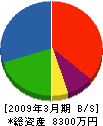 板橋産業 貸借対照表 2009年3月期