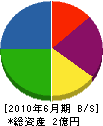 松野塗装工業 貸借対照表 2010年6月期