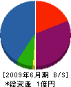レヂン工業 貸借対照表 2009年6月期