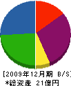 日学 貸借対照表 2009年12月期
