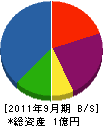 大塚建設 貸借対照表 2011年9月期