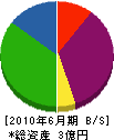 宮脇工業 貸借対照表 2010年6月期
