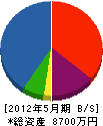 モチヅキ塗装 貸借対照表 2012年5月期