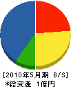 花岡組 貸借対照表 2010年5月期