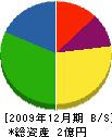 青木実業 貸借対照表 2009年12月期