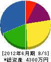 新田配管工業 貸借対照表 2012年6月期